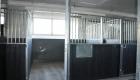 skramsta2 4 gall st